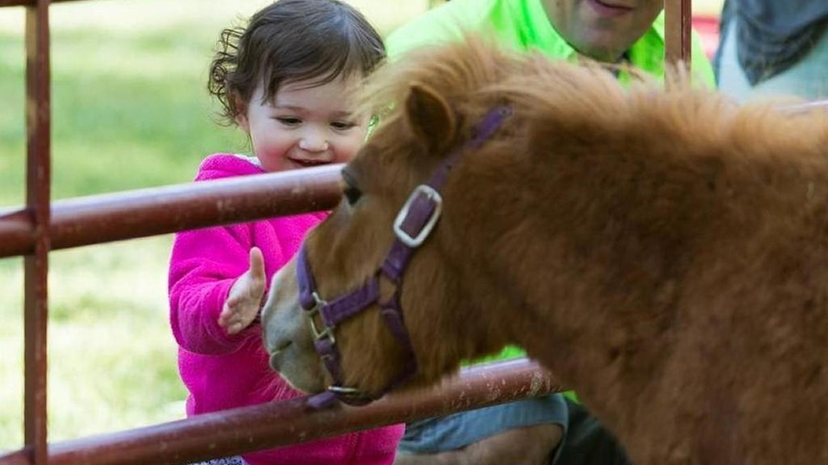 Anne Springs Close Greenway celebrates its 22nd Earth Day Celebration April 22 and will offer free entry and activities.