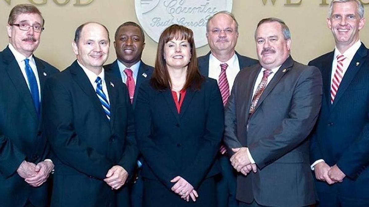 Members of the York County Council, from left, Britt Blackwell, Bruce Henderson, Bump Roddey, Christi Cox, Chad Williams, Robert Winkler and Michael Johnson.