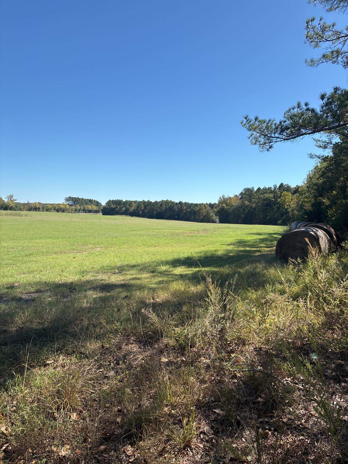 A Lancaster County Revolutionary War battle site was named Wednesday as one of the country’s most endangered historic sites.