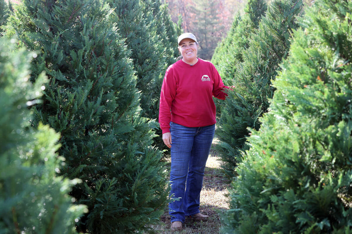 Allison Moses stands in a field of Christmas trees Wednesday at Penland Christmas Tree Farm.