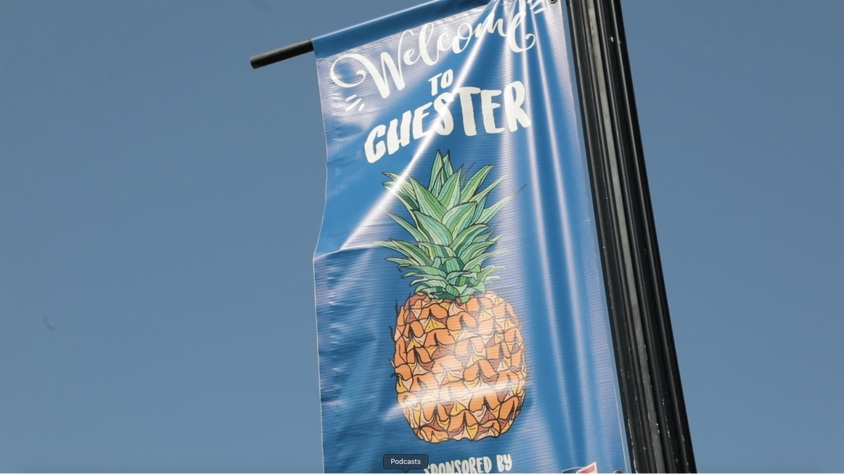 Four new members will join the Chester City Council.