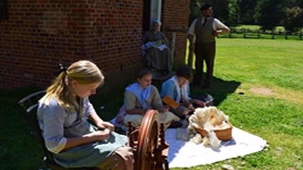 Sheep Shearing Day for the Gulf Coast heritage sheep at Historic Brattonsville will be Saturday in McConnells