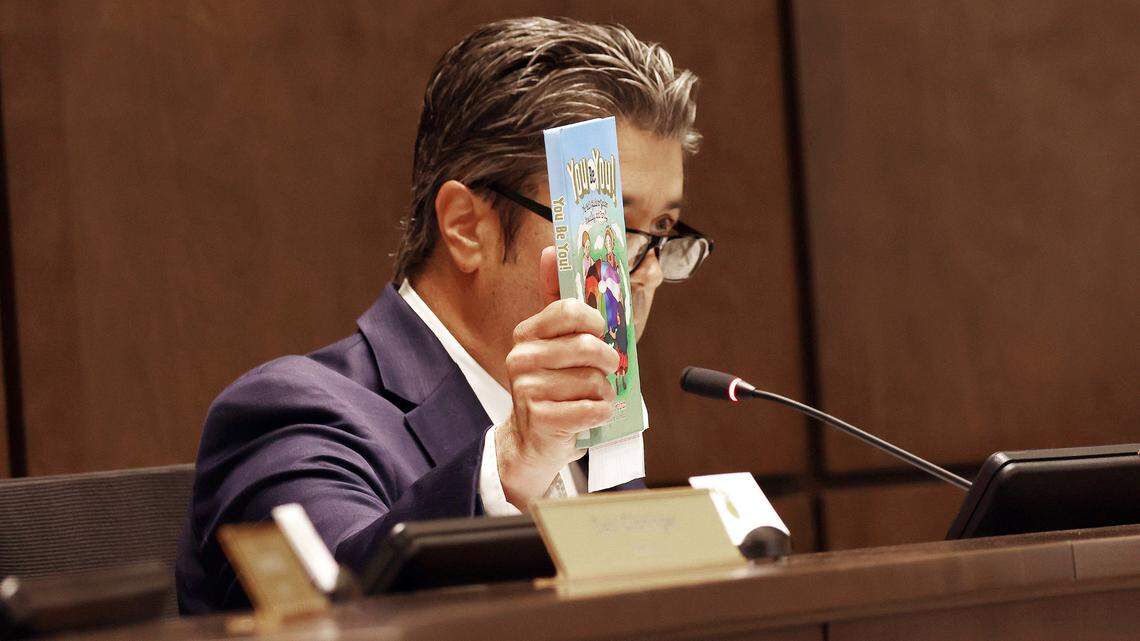 Array of voices at York County Council meeting, debate LGBTQ+ books’ place in library