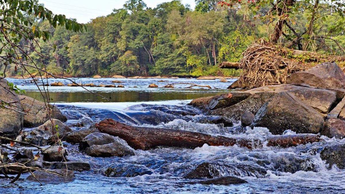 An image on the York County online page for Catawba Bend Preserve shows a stretch of Catawba River near the coming Rock Hill park. York County will operate it.