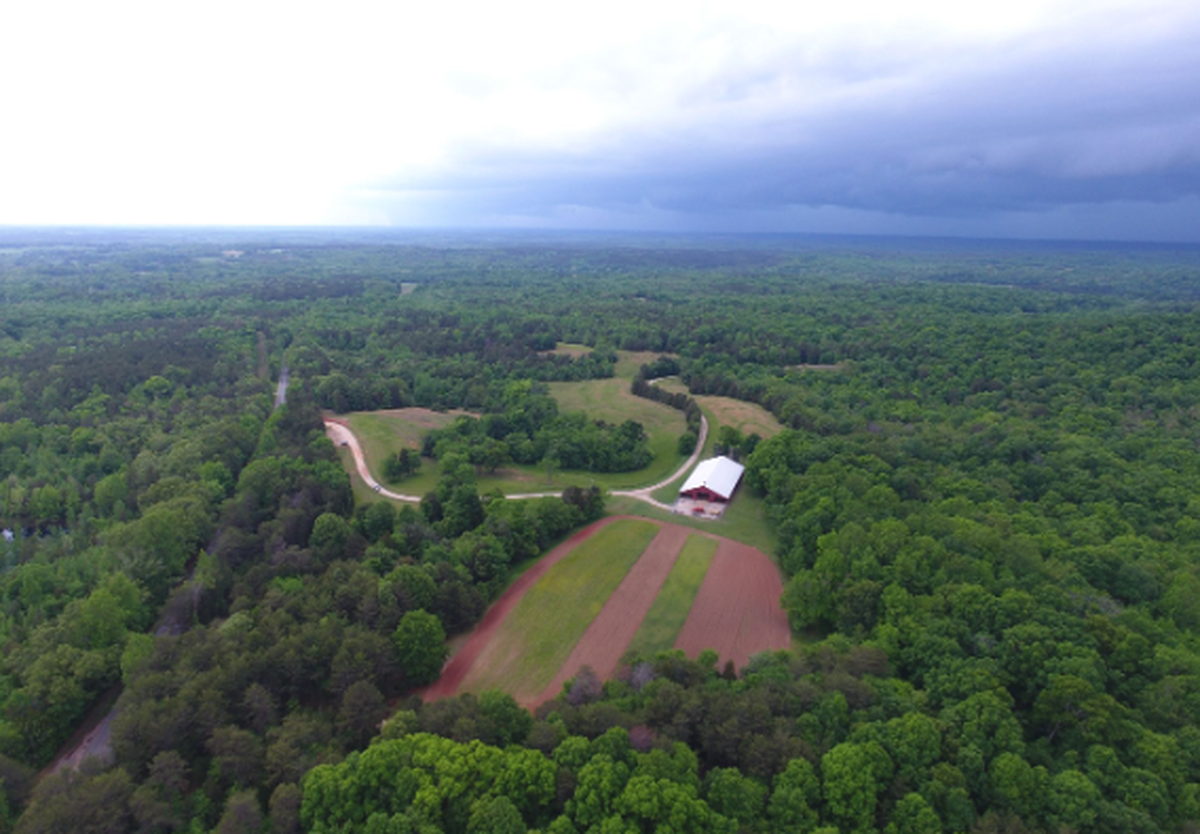 Worth Mountain is a recreational area in York County set to get horse and pedestrian trails as part of ongoing capital project work by the county.