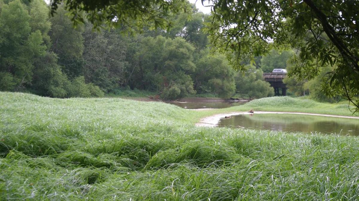 
Ed Lindsey of Lake Wylie shows a view Aug. 30 of Crowders Creek near the Highway 49 bridge.  “The cove is now land locked,” he said. “Even in the 2007 drought, which was worse than this one, the cove was never land locked. It is just another example of the increase in the shrinking of the lake because of the sediment.”
