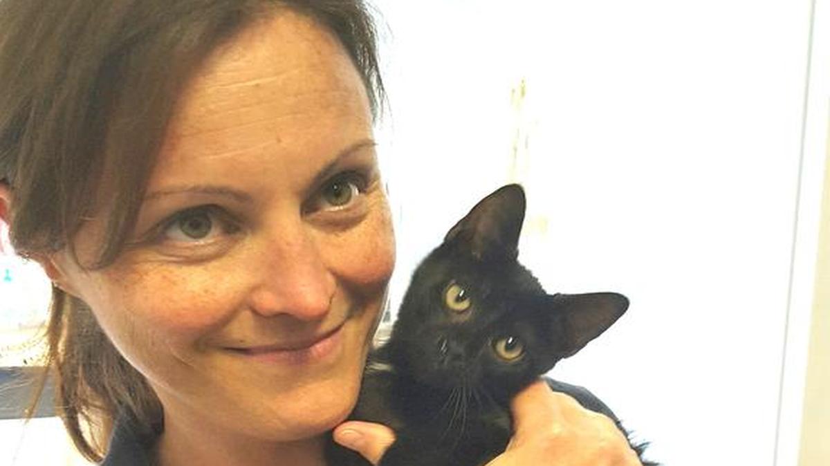 
Humane Society of York County Director Rebecca Boronat snuggles a kitten that’s up for adoption at the no-kill shelter. Boronat has made policy changes that allow for the intake of more animals with special needs who will be helped by money raised during the Dog Gone Good Time Festival at Walter Elisha Park Sept. 26.
