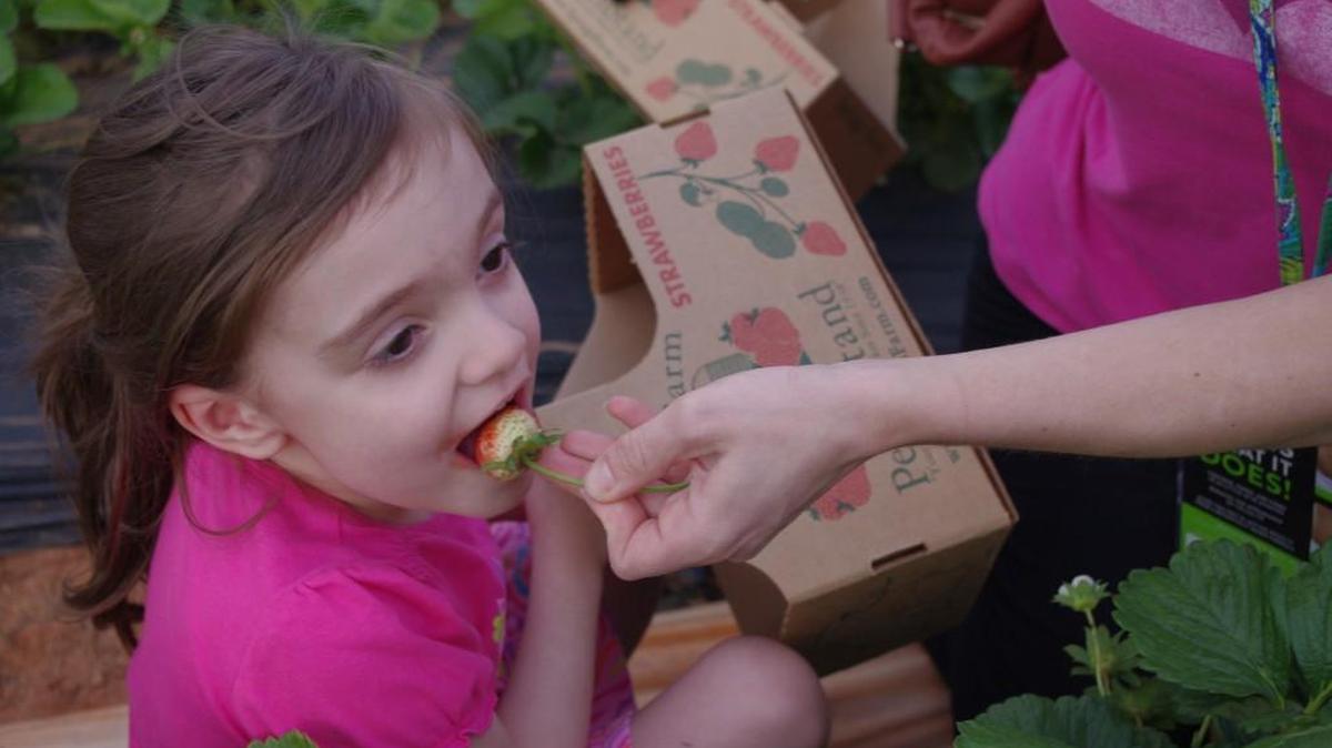 The S.C. Strawberry Festival in Fort Mill received $20,000 in county hospitality tax money this spring for fiscal year 2016.