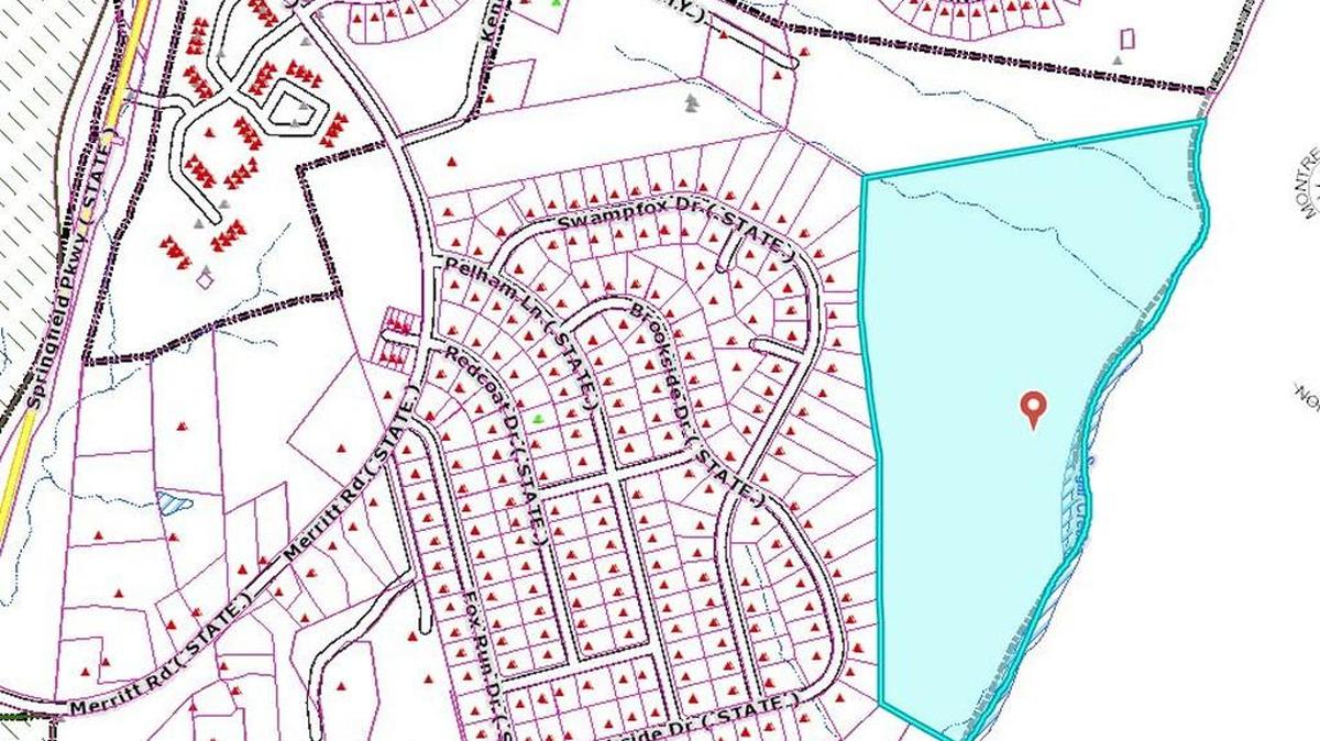 Property owned by Fort Mill is part of an annexation request to bring 133 homes.