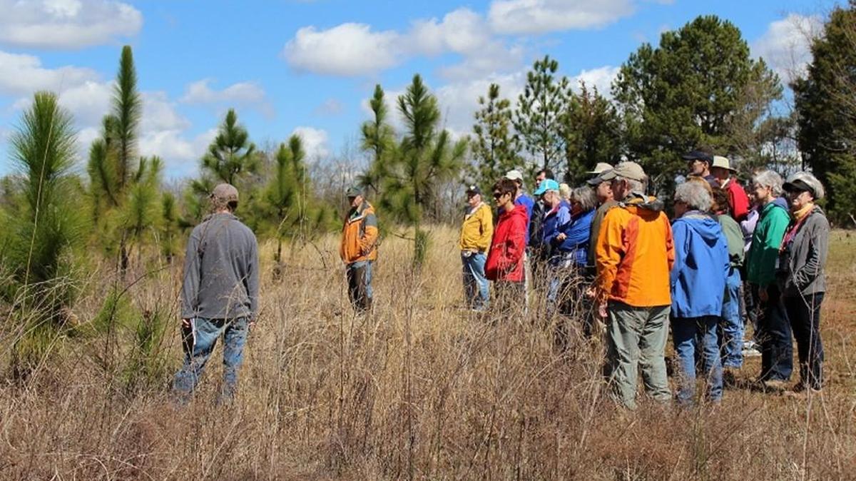 The Anne Springs Close Greenway’s Master Naturalist course will be held Wednesdays, March 2-May 18.