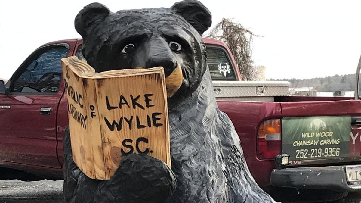 A new addition to the public library in Lake Wylie needs a name, and staff is looking for suggestions.