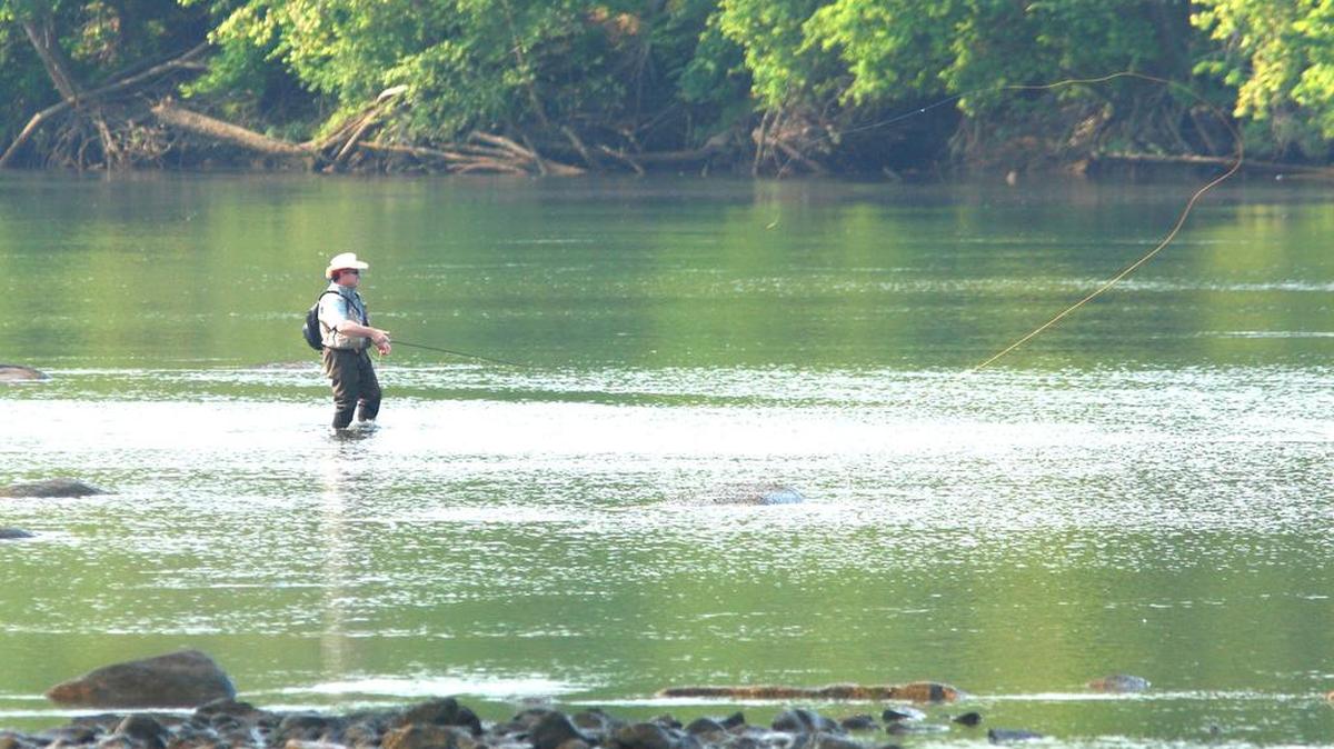 About $100,000 to $110,000 annually comes in from non-resident fishing license sales in York County. The county gets about $20,000.