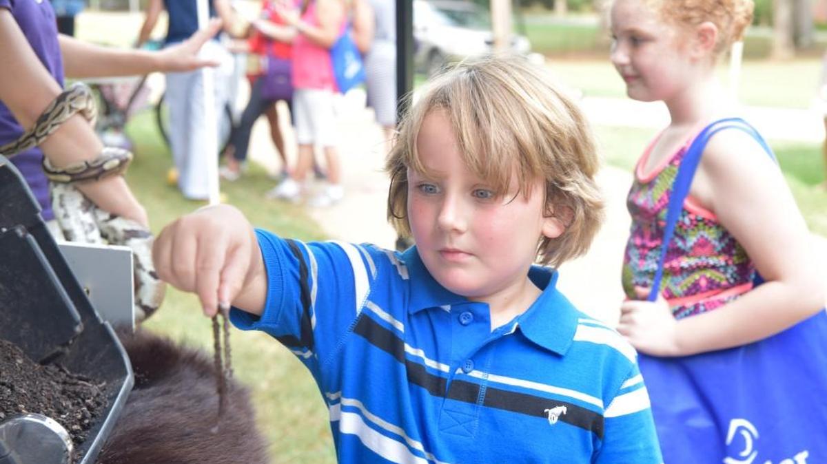 Spencer Sonier, age 6, examines earth worms in compost at the Schiele Museum's booth during the Field Trip Fair for elementary teachers at the Anne Springs Close Greenway.