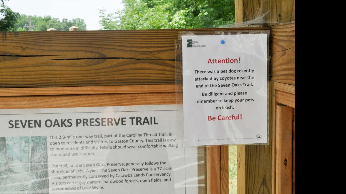 
A sign posted at the New Hope Road trail head of Seven Oaks Trail in Belmont, NC, reminds dog owners to keep their pets leashed following a reported coyote attack.
