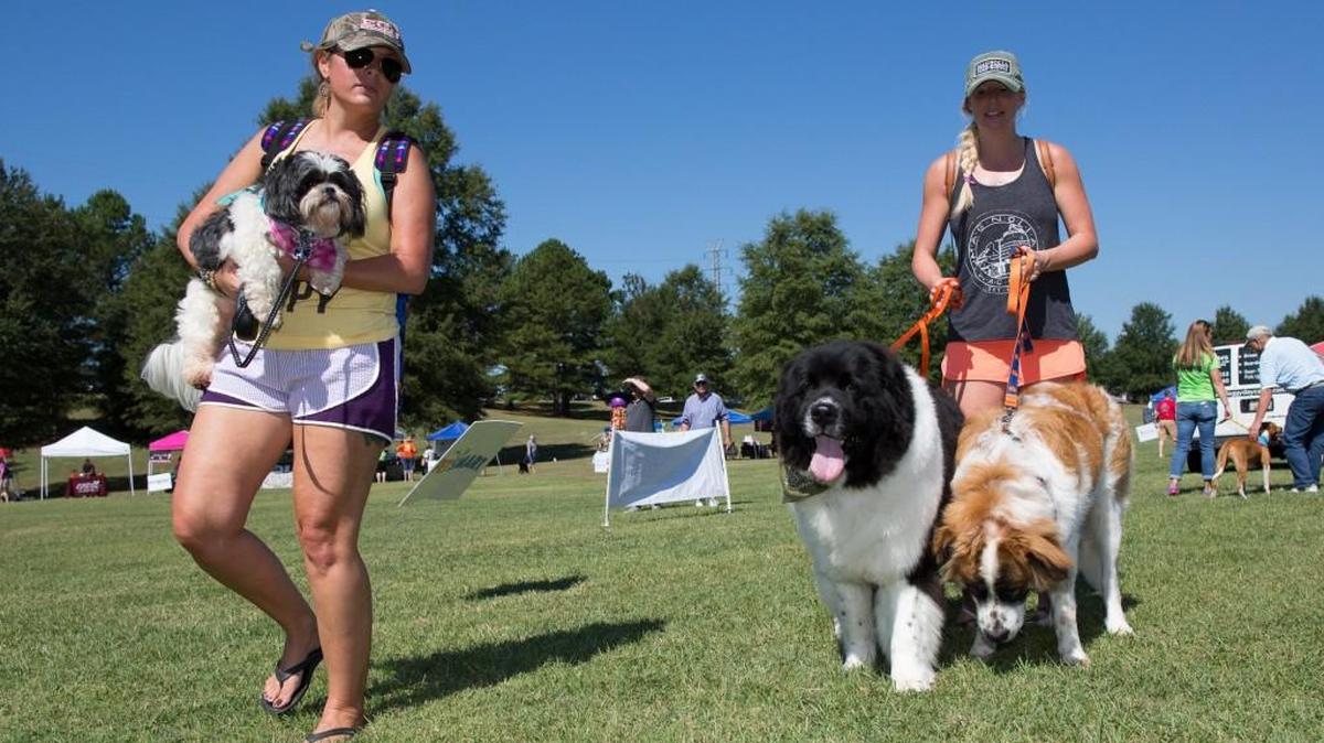 The Dog Gone Good Festival returns Sept. 29 to Walter Elisha Park in Fort Mill to raise money for Humane Society of York County.