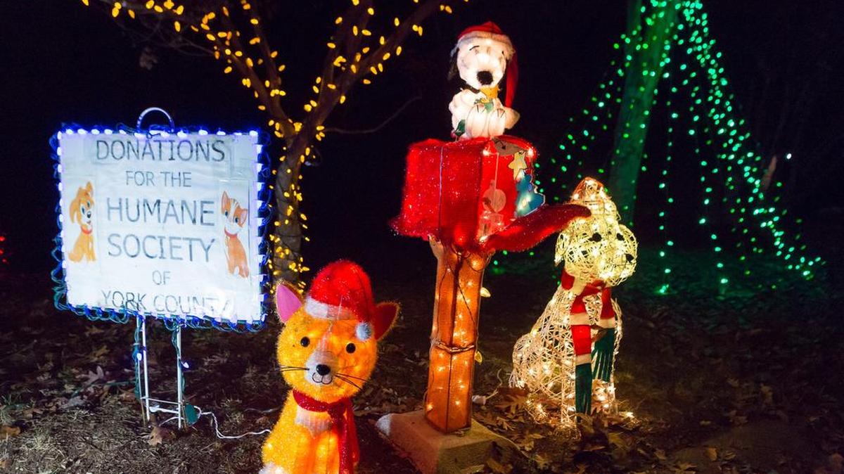 Elaine and Vic Siegel celebrate Christmas and collect donations for the Humane Society of York County at their home at 7045 Chelsea Day Lane in Tega Cay.