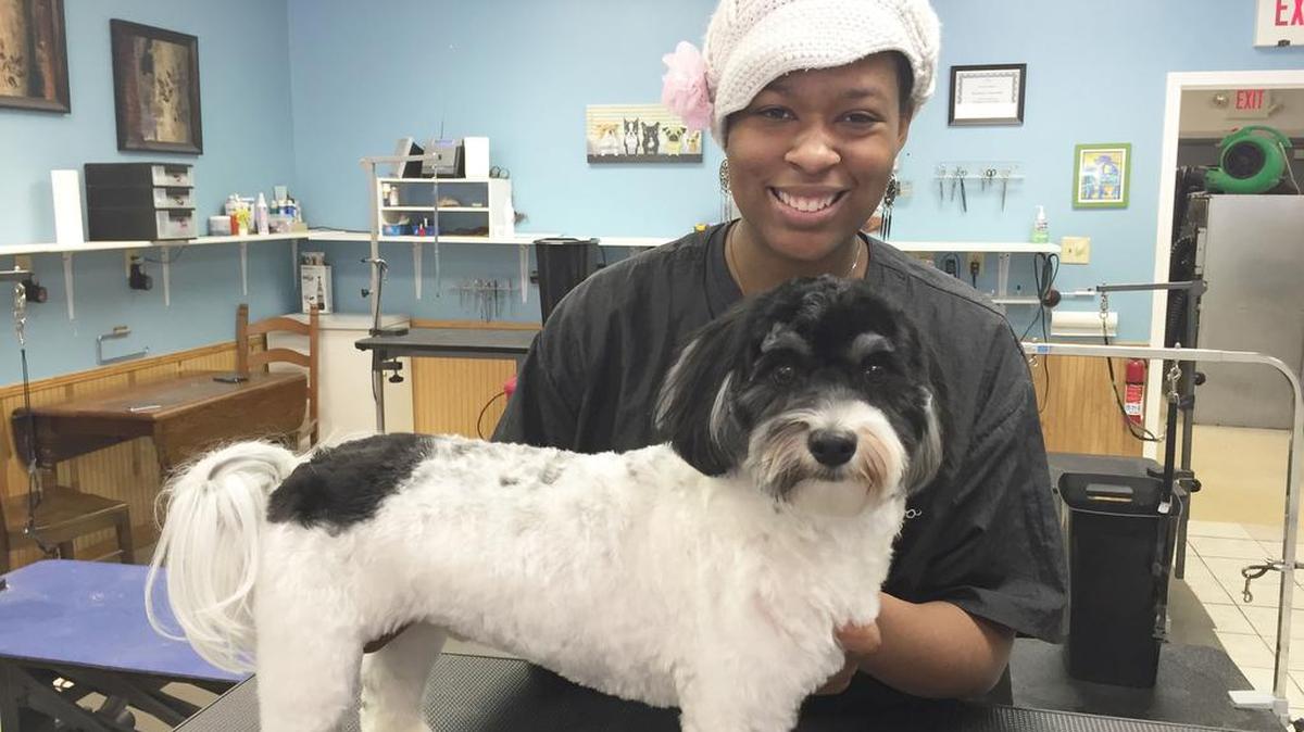 
Denise Demby holds Murphy at Grooming Naturally in Lake Wylie. She recently started as a groomer.

