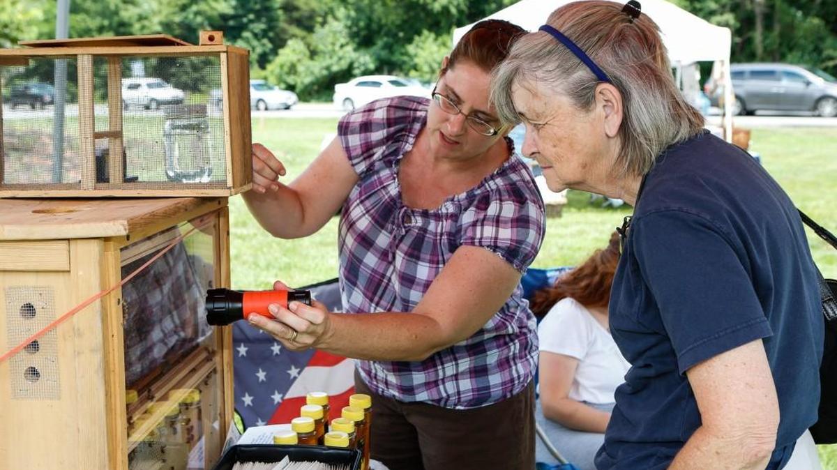 Holly Burritt of Bee Healthy Gardens shines a light on a demonstration hive for Fort Mill resident Melanie Burns during past Catawba Regional AG + ART Tour stop at Springs Farm in Fort Mill.