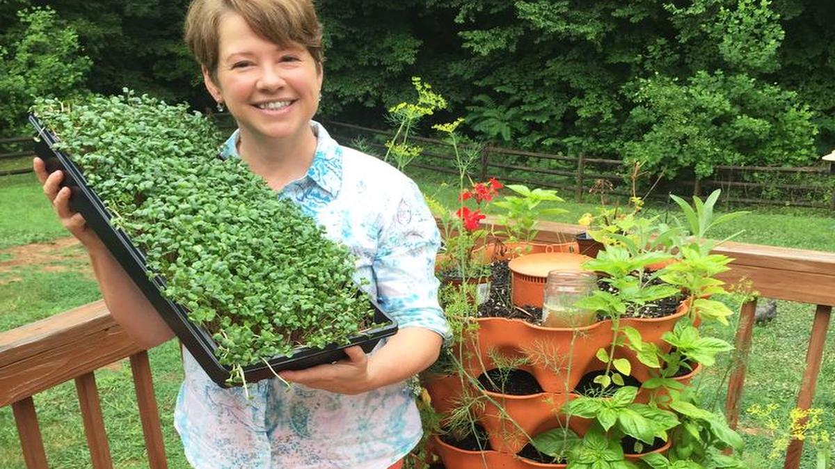 Jane DuBois, owner of Harmony Creek Urban Farm in York, holds up some of her plants.