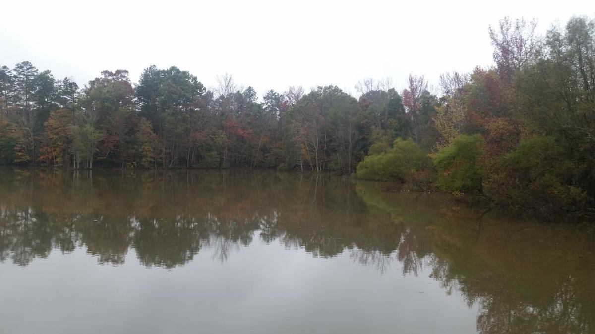 Mill Creek shows water high levels last week as land normally visible is covered. About a month ago, the creek was dry with grass growing due to the drought.