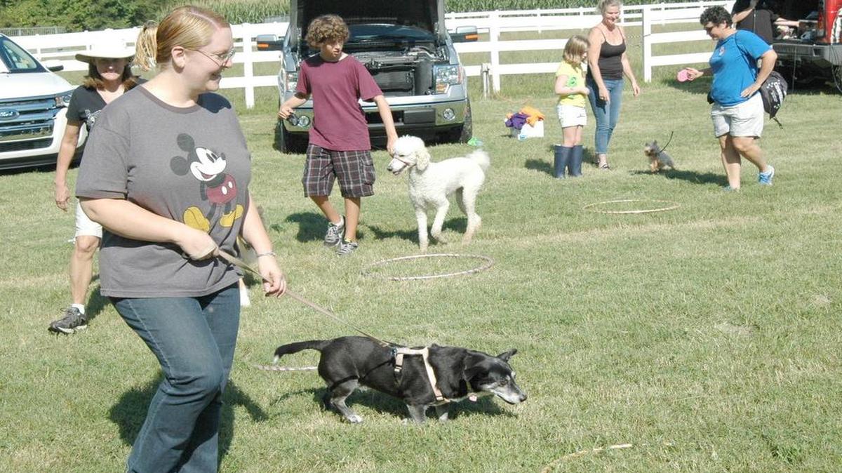 
Contestants compete in musical chairs where dogs jump into hoops when the music stops, during the 2014 festival for Humane Society of York County.
