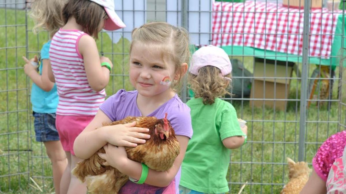 Agritourism, Lake Wylie and the Catawba River are the top three areas of investment for hospitality tax money identified by some York County Council members.