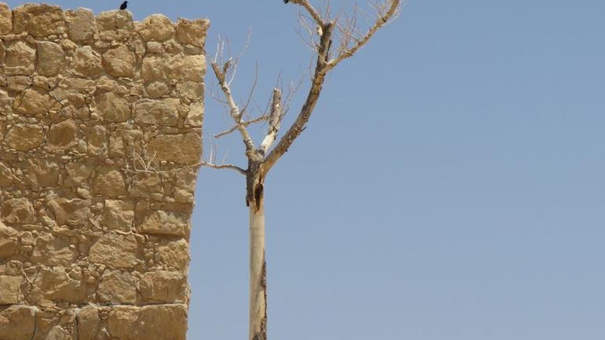 Israel is a land with so many places that matter to people of many faiths.