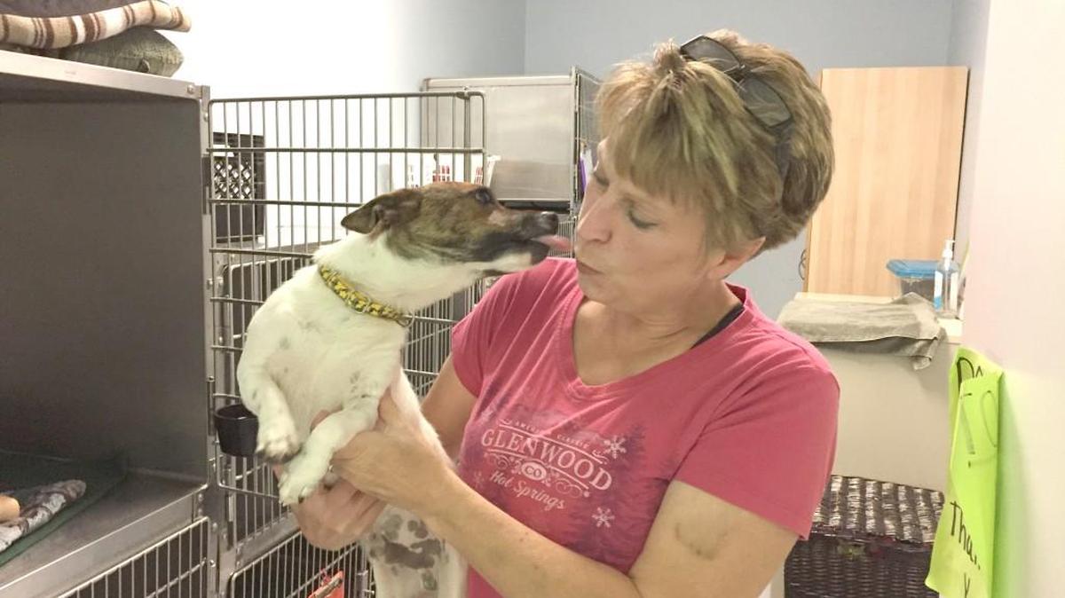 Mary Beth Knapp of the Humane society of York County in Fort Mill gets a kiss from Odie, one of the dogs staying at the shelter until he finds his “forever” home. Mark your calendar for the shelter’s eighth-annual Dog Gone Good Time Festival Sept. 30 from 10 a.m. to 2 p.m. at Walter Y. Elisha Park in downtown Fort Mill.