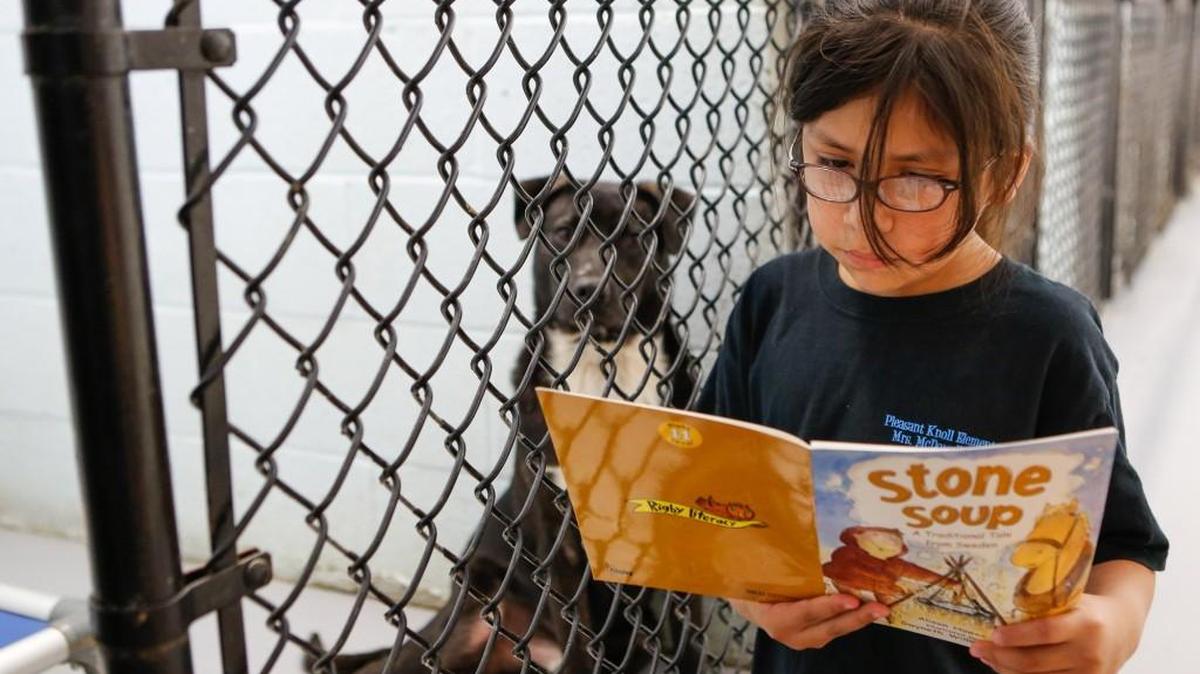 Second grader Yaleida Garcia reads to Ziggy as students from Pleasant Knoll Elementary School read to the animals at the Humane Society of York County in Fort Mill last spring. HSYC is holding its big annual fundraiser in Walter Elisha Park Saturday.