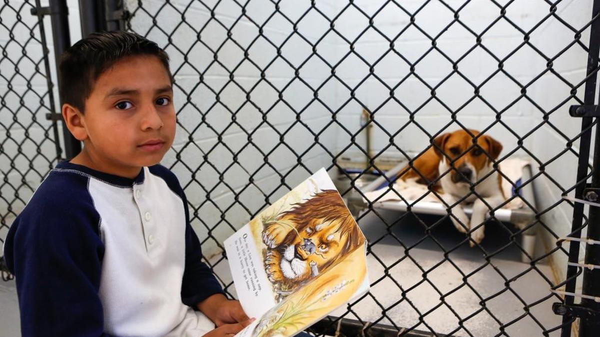 2nd grade student Brian Vernet-Pazos reads a story to a dog named Billy as students from Pleasant Knoll Elementary School read to the animals at the Humane Society of York County in Fort Mill.