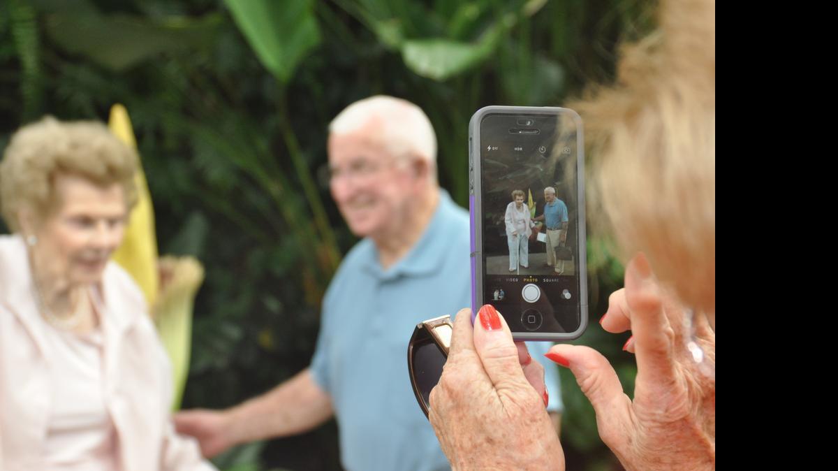 
JoAnne Brooks of Gilroy, Calif., takes a picture of her friends Mary Robinson and Charlie Fox of Dallas, N.C., in front of the rare Amorphophallus titanum, or corpse flower, on Tuesday at Daniel Stowe Botanical Garden. Brooks said they came to see the flower on her first visit to the garden. “It’s just fabulous,” she said of the garden. “This is a treasure.”
