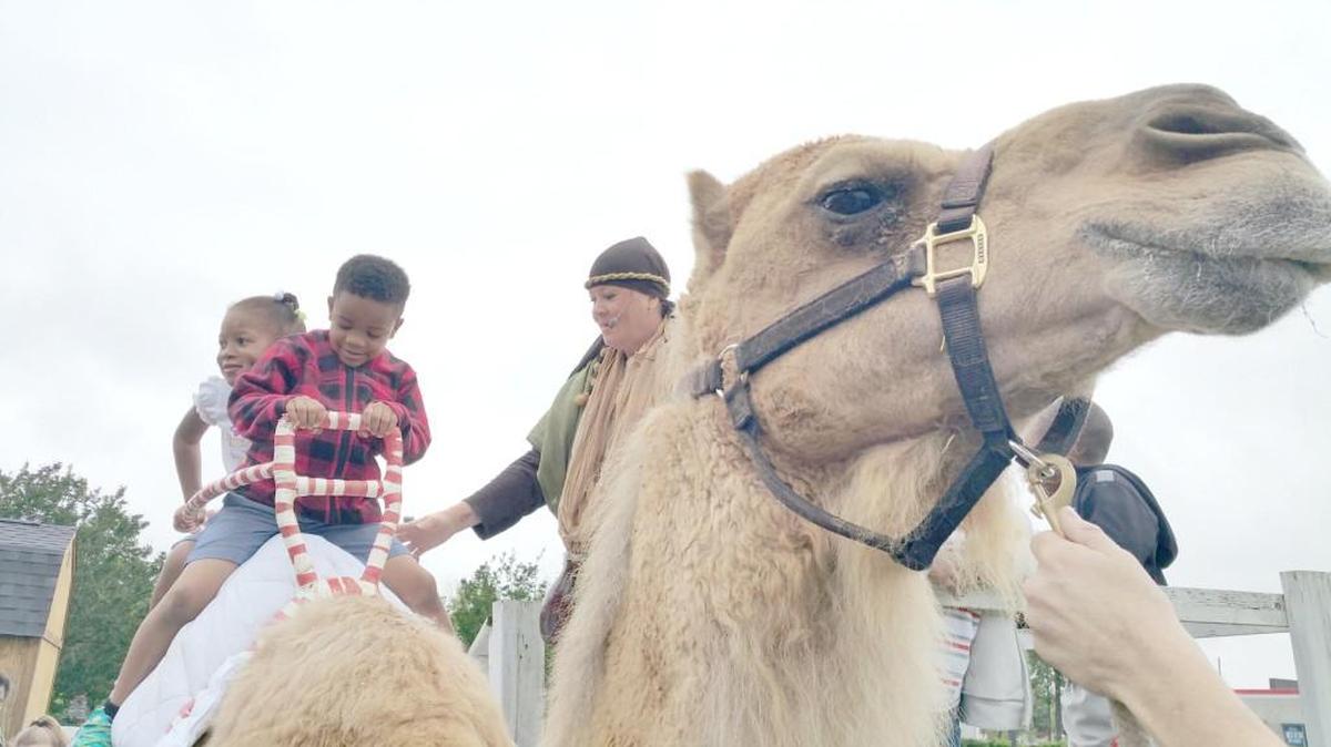 Jo'Lisha Brown, 4 and Logan Conner, 5, of Spartanburg enjoy a ride on Sheba, Narroway's iconic camel, assisted by Fort Mill resident and Cast Manager Adaiah Paul. Sheba has spent all of her 18 years at Narroway and is a cast member in many shows. The theater ministry asked York County to help pay for an expansion to a new site across the road.