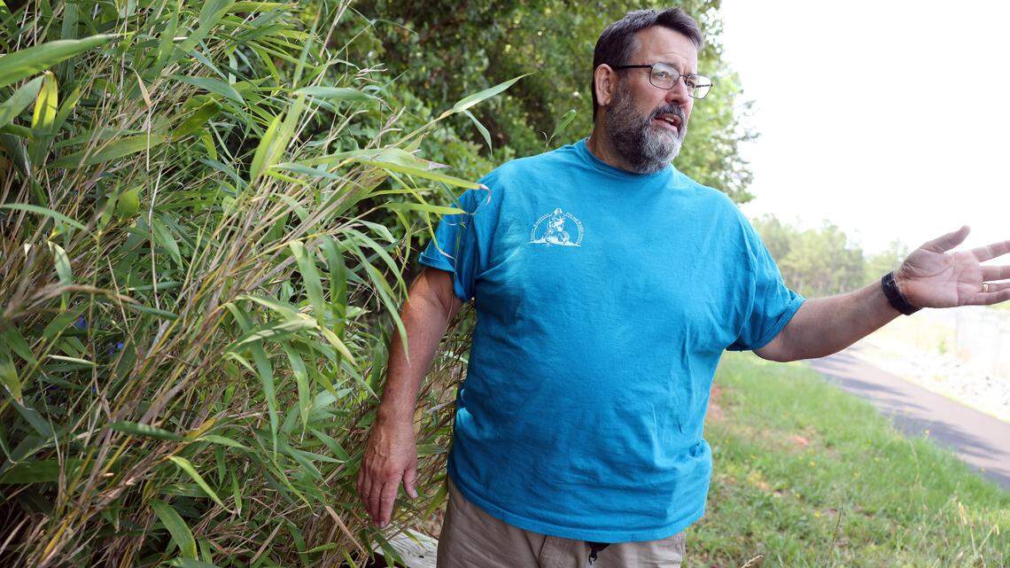 Restoring a sparse river plant has became a common goal for Catawba Nation, York County