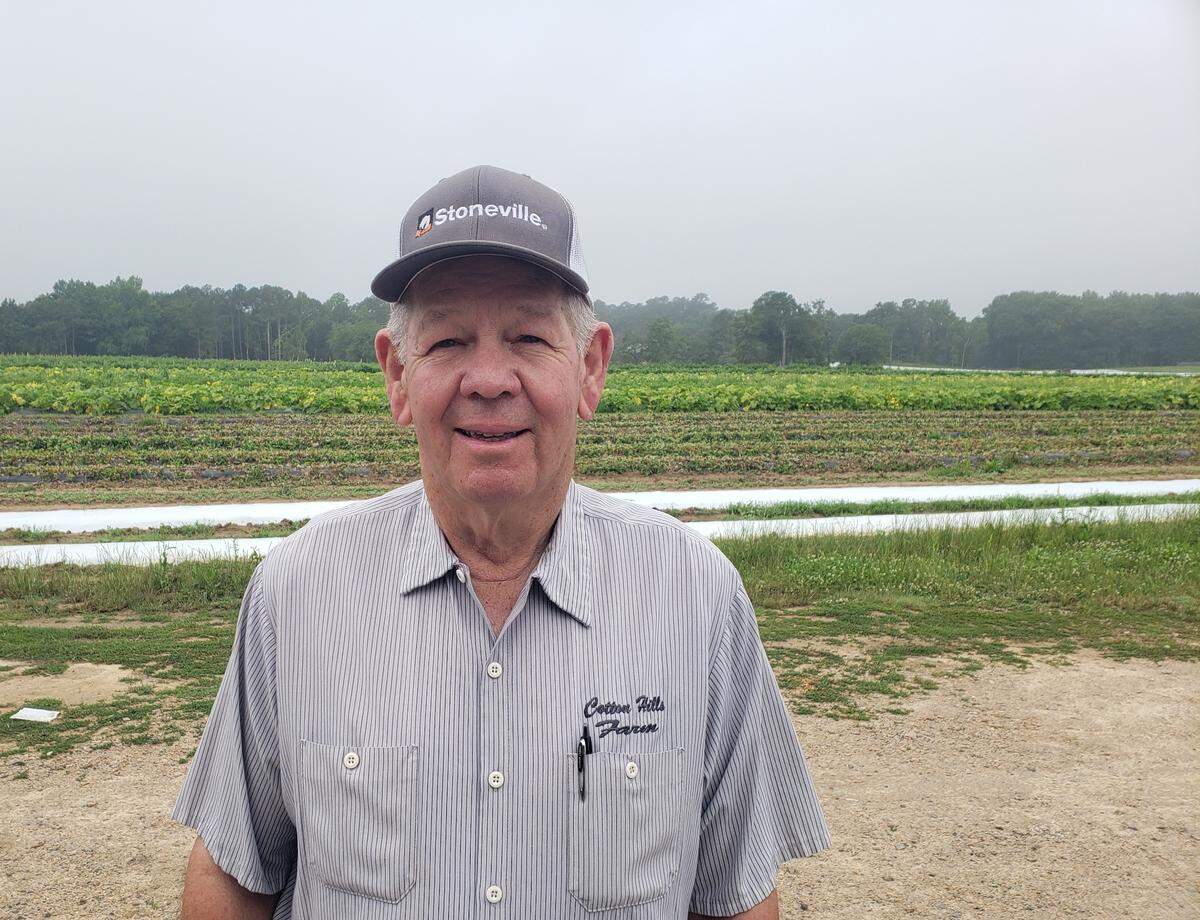 Jeff Wilson is the co-owner of Cotton Hills Farms with his two sons, J.E.B and Pete.