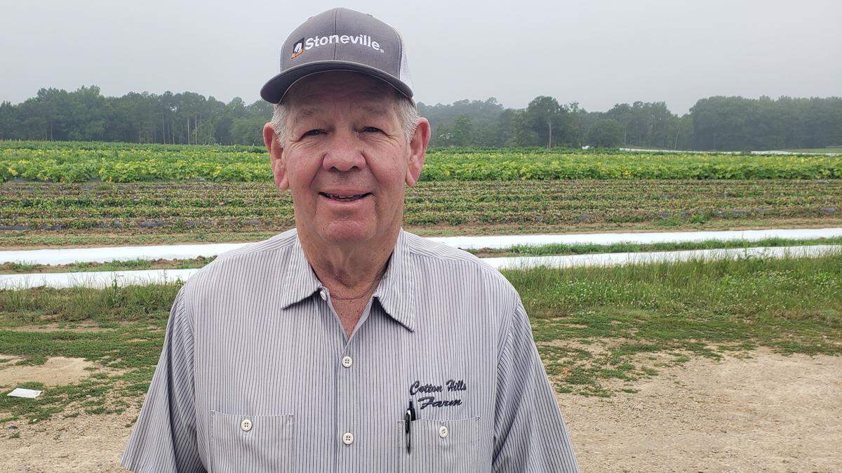 Jeff Wilson is the co-owner of Cotton Hills Farms with his two sons, J.E.B and Pete.