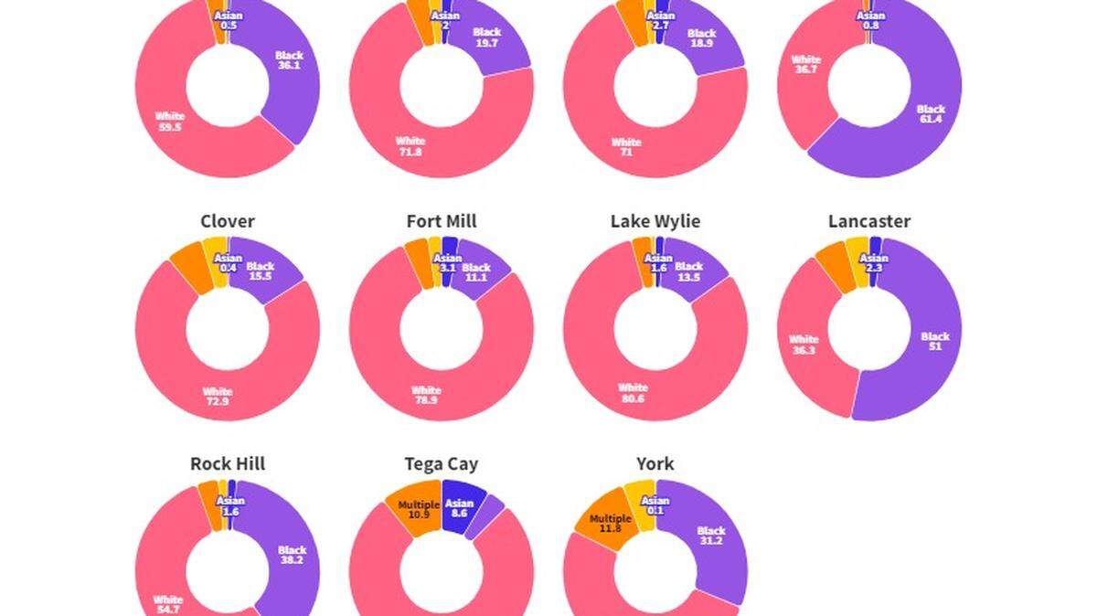 New American Community Survey data shows how the Rock Hill region changed in recent years.