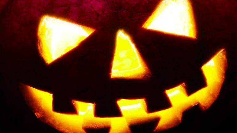 8 tips to keep your SC Halloween jack-o’-lanterns fresh and away from wildlife