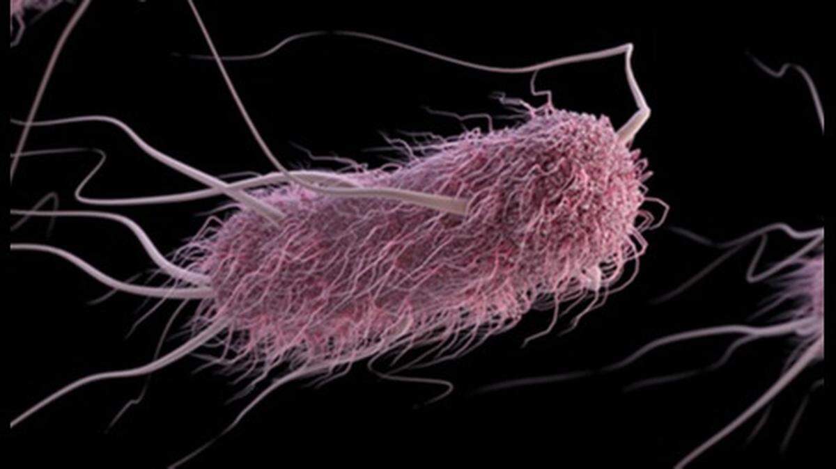 E. coli found in water testing lead to a boil water advisory in Tega Cay on Wednesday.