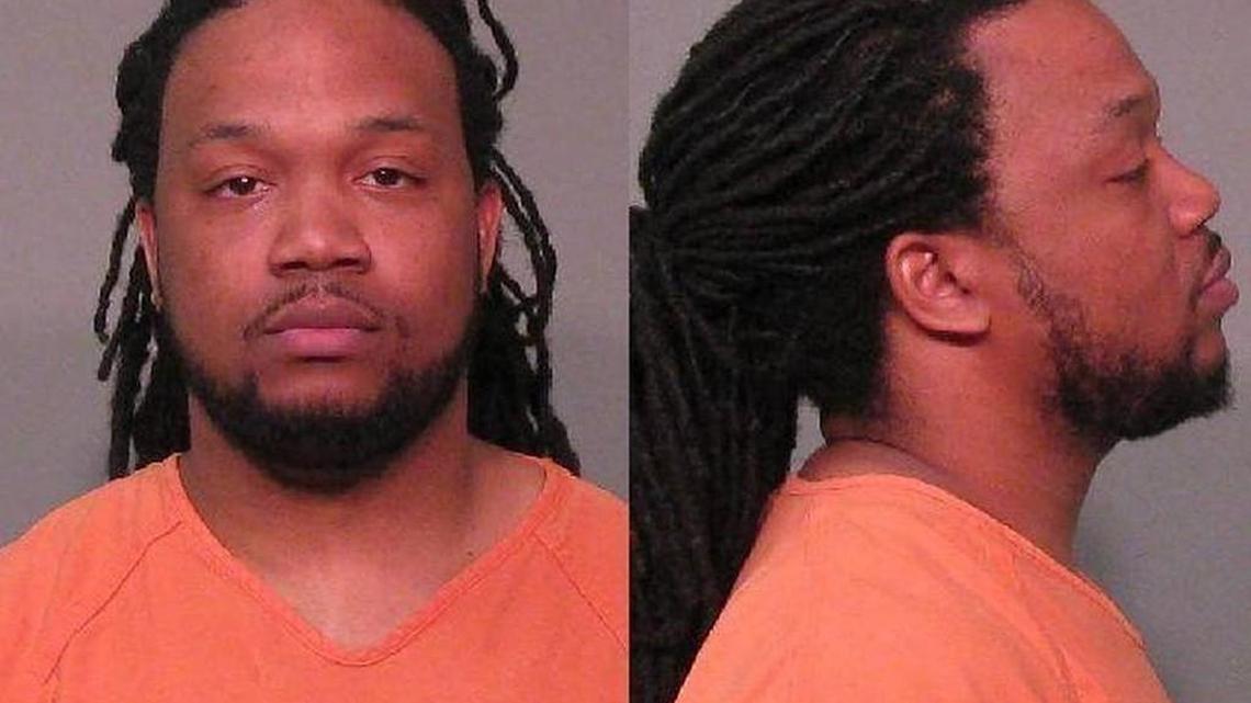 York man guilty of ill treatment of dogs, but not dog fighting