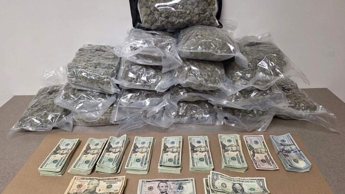 ‘Baffling’: NC man speeding in Indian Land SC had 17 pounds of weed, sheriff says