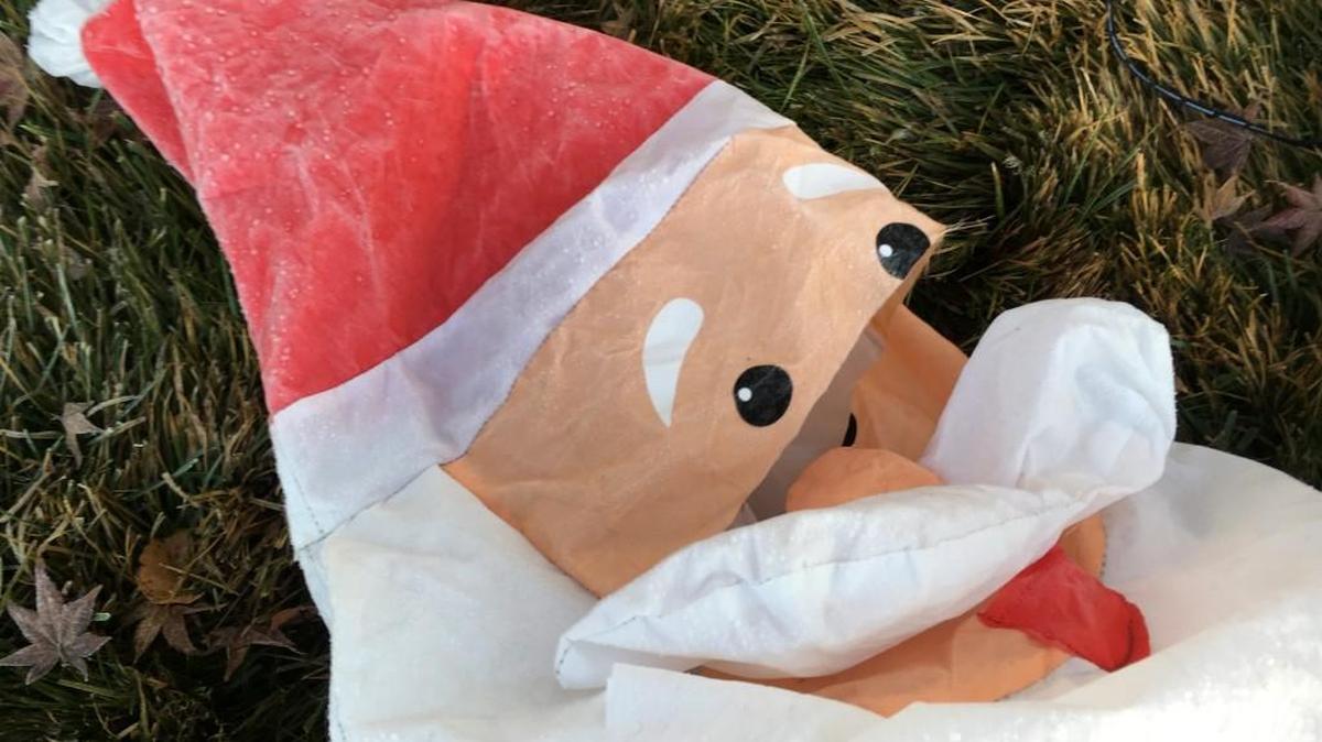 Residents in Rock Hill have reported that someone is trying to steal inflatable Santas.