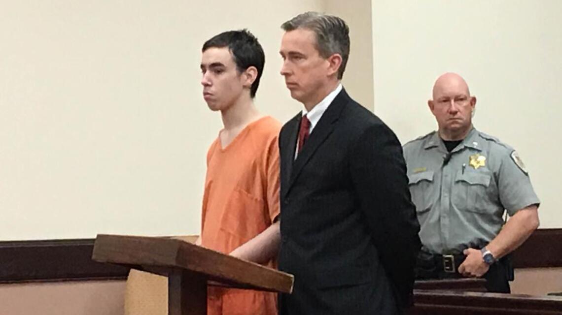 Monster or misunderstood? Teen who burned baby brother pleads guilty but claims he tried to save him