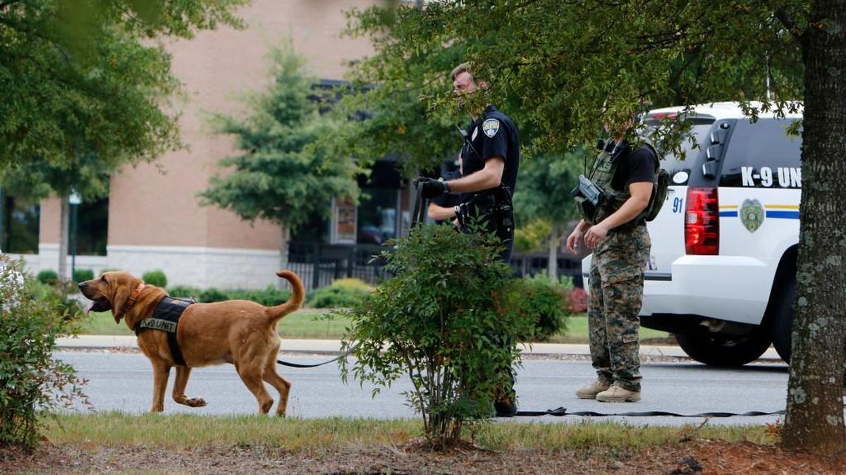 
Rock Hill Police use a K-9 to search the area near the Kohl's store Monday morning after an armed robbery at the Check and Go at 2391 Dave Lyle Blvd.
