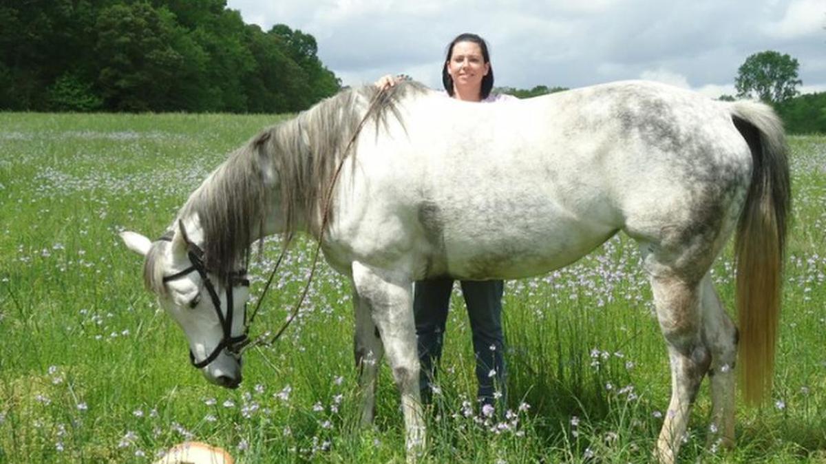 
Grey, a 13-year-old mare, had to be euthanized after someone shot the horse outside of a Chester County home. Kristy Sutton, pictured here with Grey, said the horse was like a member of their family.
