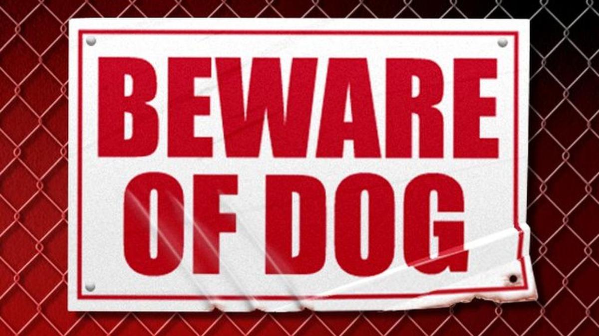 A Washington woman collected $186,000 in workers’ compensation after a dog attacked her at work. She claimed it gave her ‘dog phobia,’ but she had dogs all along.