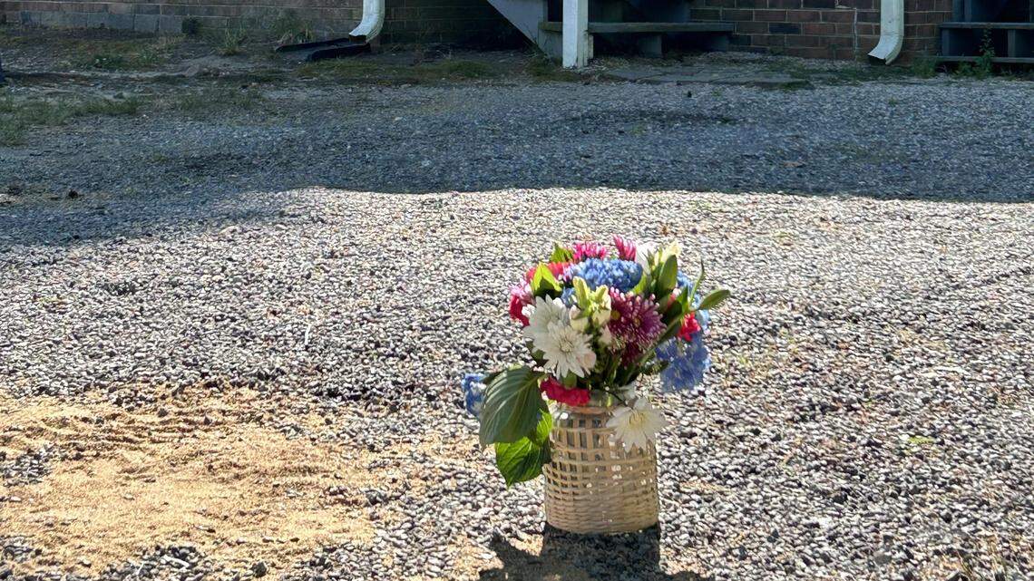 adys@herald.online.com