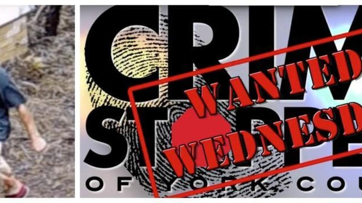 York County Crime Stoppers assists agencies investigating crimes.