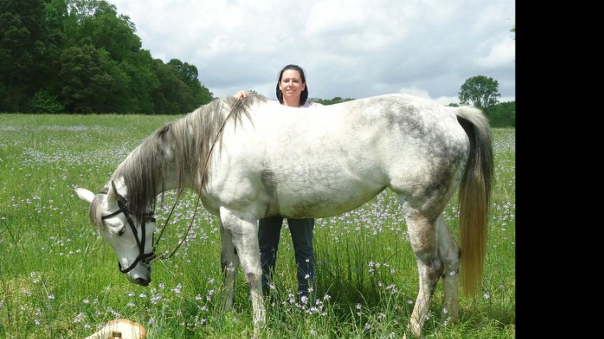 
Grey, a 13-year-old mare, had to be euthanized Saturday after someone shot the horse outside of a Chester County home. Kristy Sutton, pictured here with Grey, said the horse was like a member of their family.

