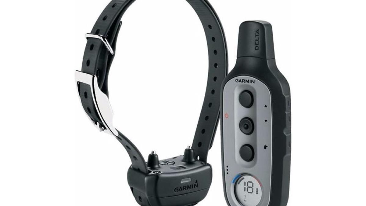 Two people are accused of taking taking $800 in electronic dog collars from the Fort Mill Cabela’s store.