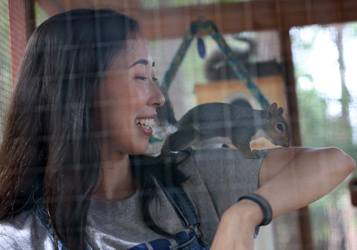 Katherine Rigby interacts with a squirrel in an enclosure at her Fort Mill home earlier this month. Rigby is a co-founder of Nutty By Nature Squirrel Rescue based in Rock Hill.